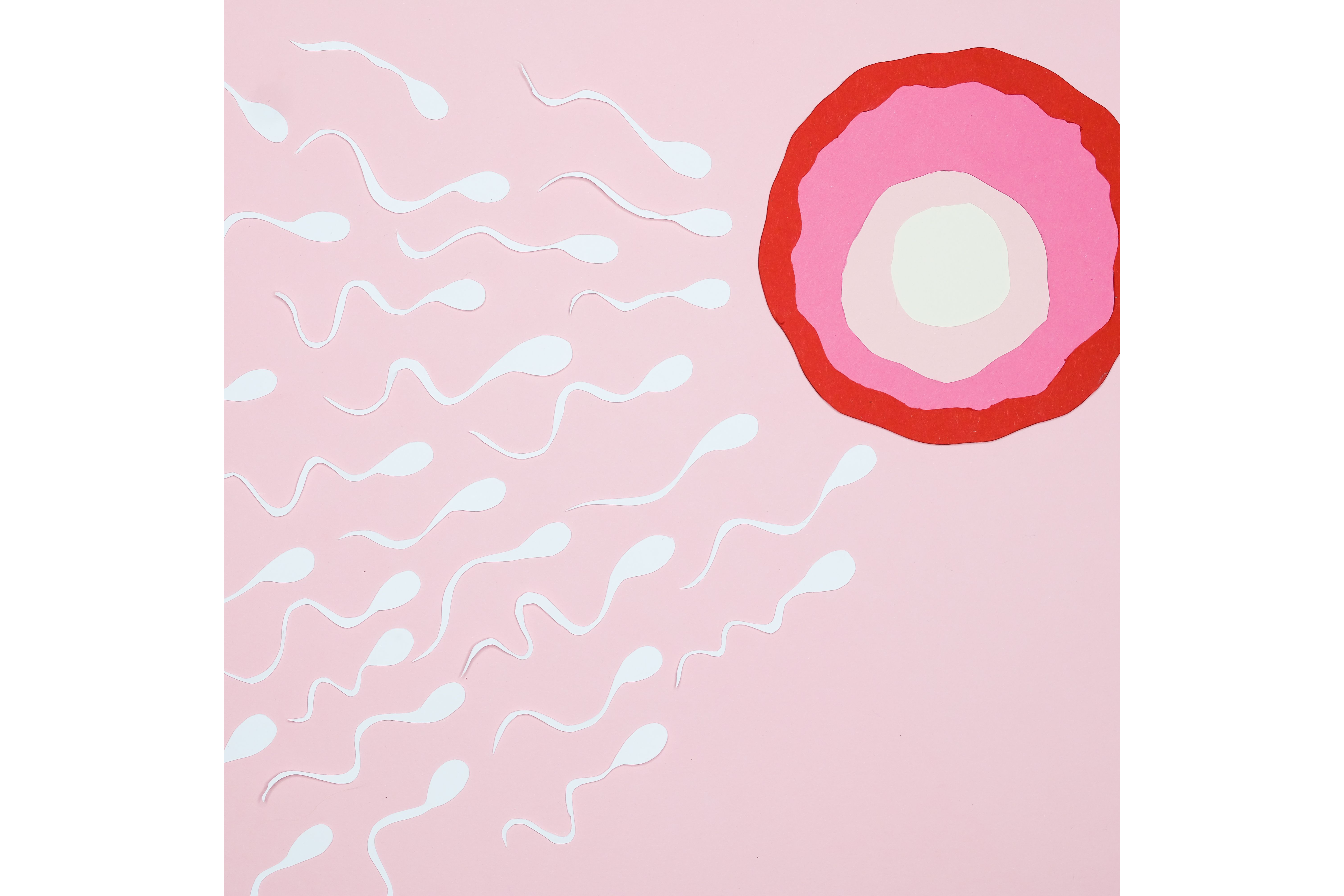 Ovulation Symptoms & Fertile Window: How to Track Ovulation and Get Pregnant Naturally